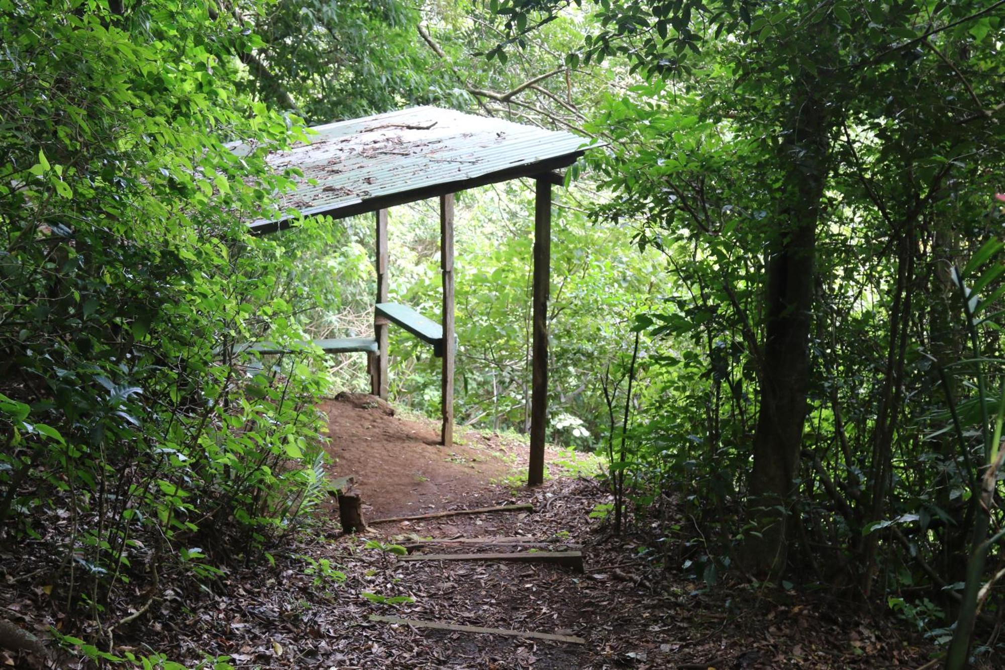 Santuario Ecologico Monteverde Exterior photo